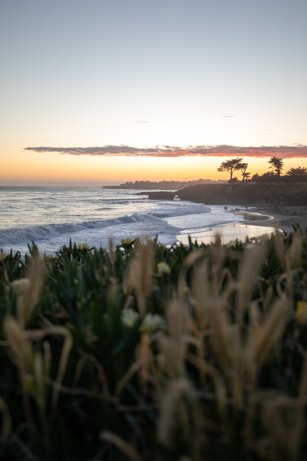 Ultimate Santa Cruz Travel Guide | Catherine Chicotka