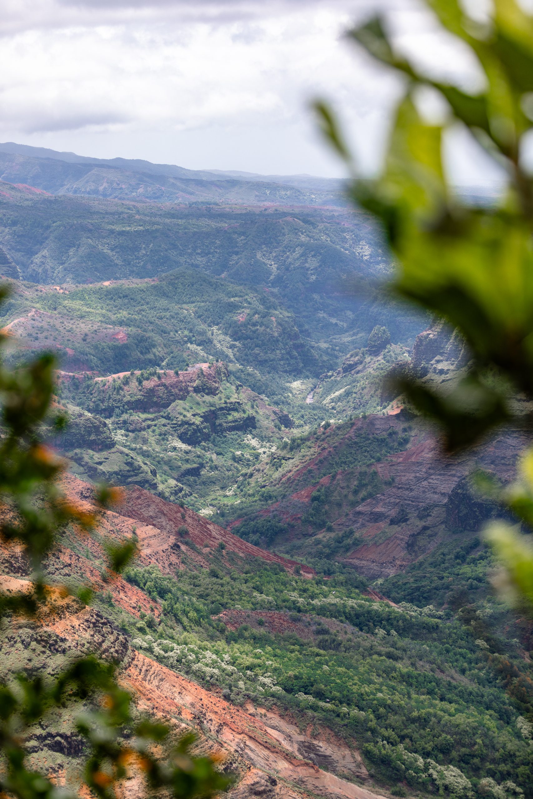 Best Things to Do Kaua'i | Bucketlist Activities Kaua'i | Must Do Activities Kaua'i | 3 Day Kaua'i Itinerary: A Local's Guide to the Perfect Long Weekend | Catherine Chicotka