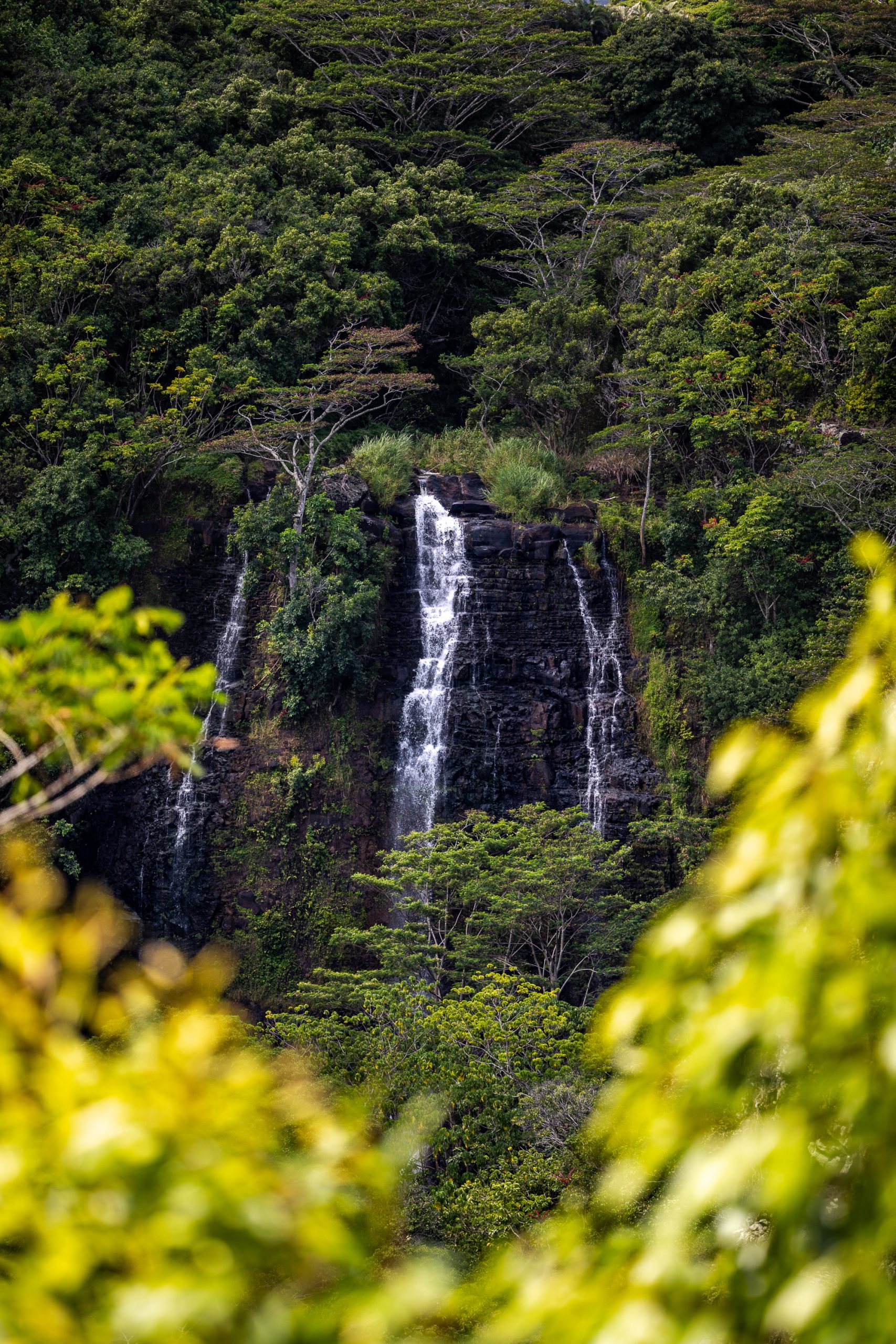 3 Day Kaua'i Itinerary: How to Plan an Epic 3 Days in Kaua'i | Catherine Chicotka