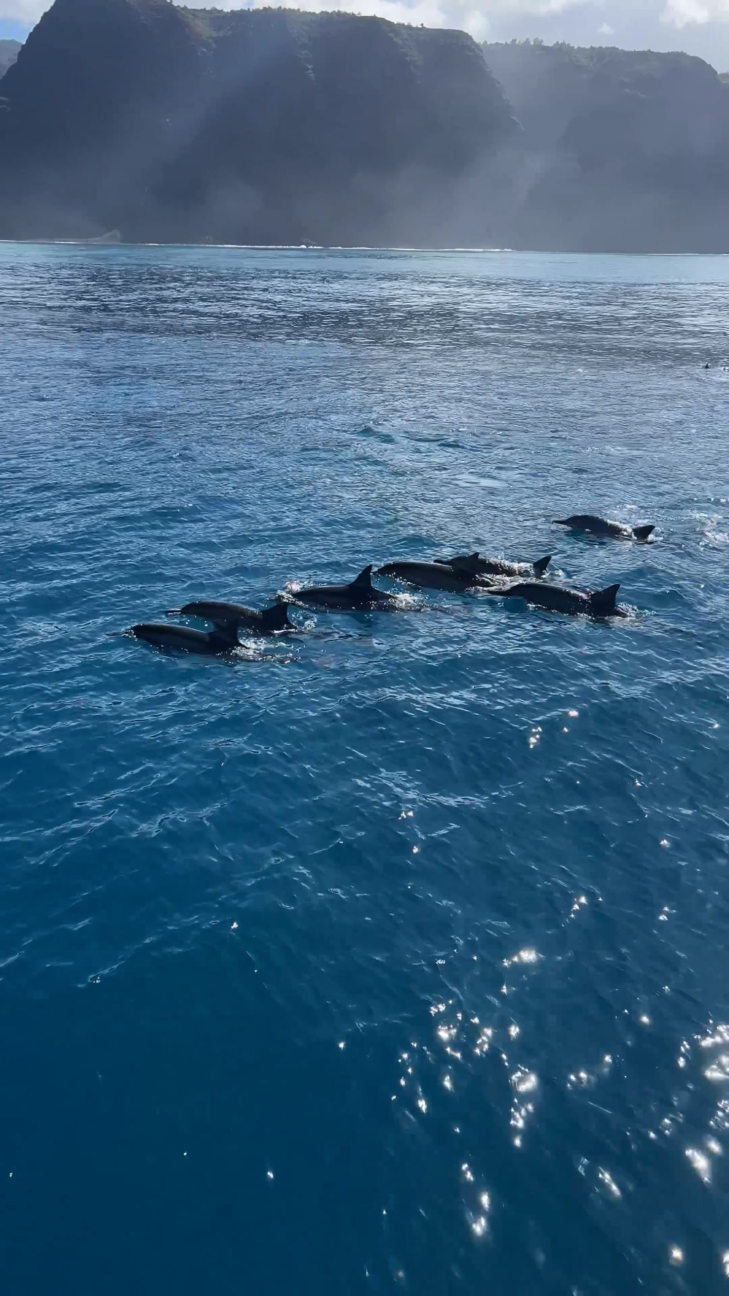 Experience Napali Coast by Boat | Blue Dolphin Charters | Deluxe Morning Snorkel Napali Coast Boat Tour | Catamarans Kaua'i | Napali Coast Kaua'i | Kauai | Catherine Chicotka