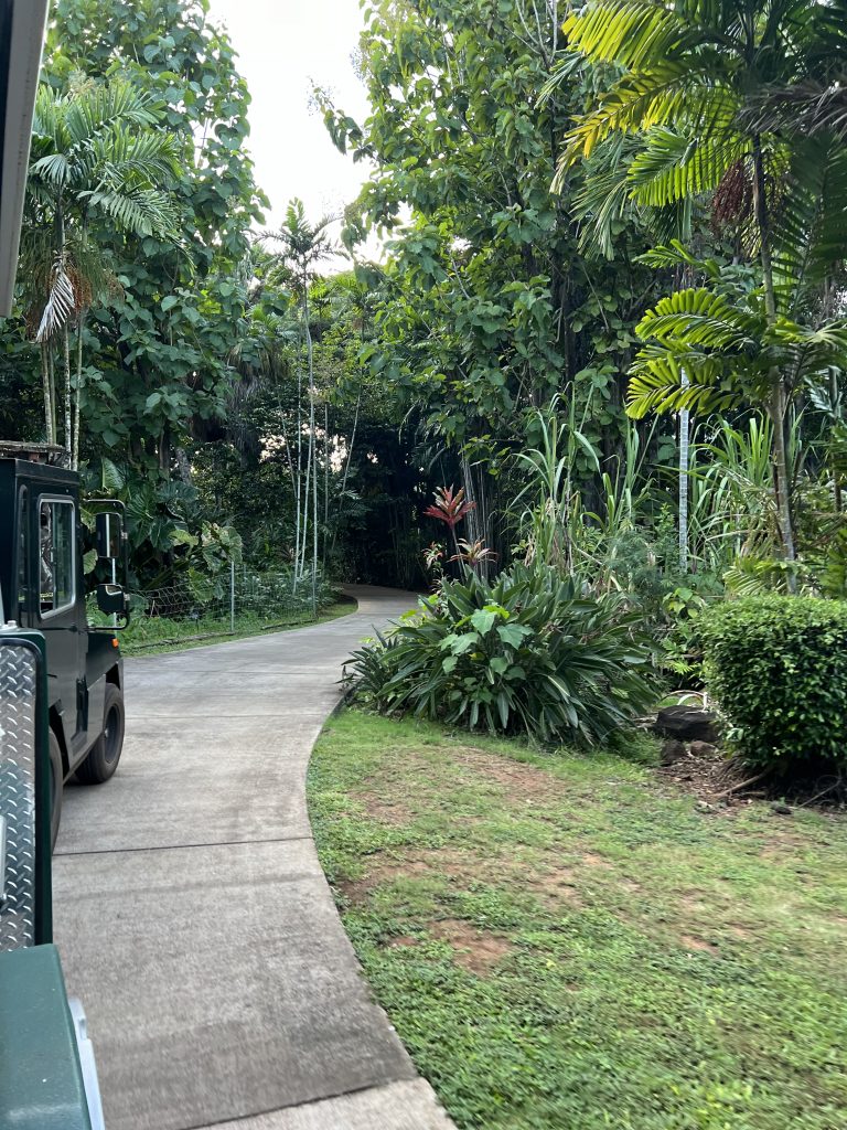 Best Things to Do Kaua'i | Bucketlist Activities Kaua'i | Must Do Activities Kaua'i | Catherine Chicotka