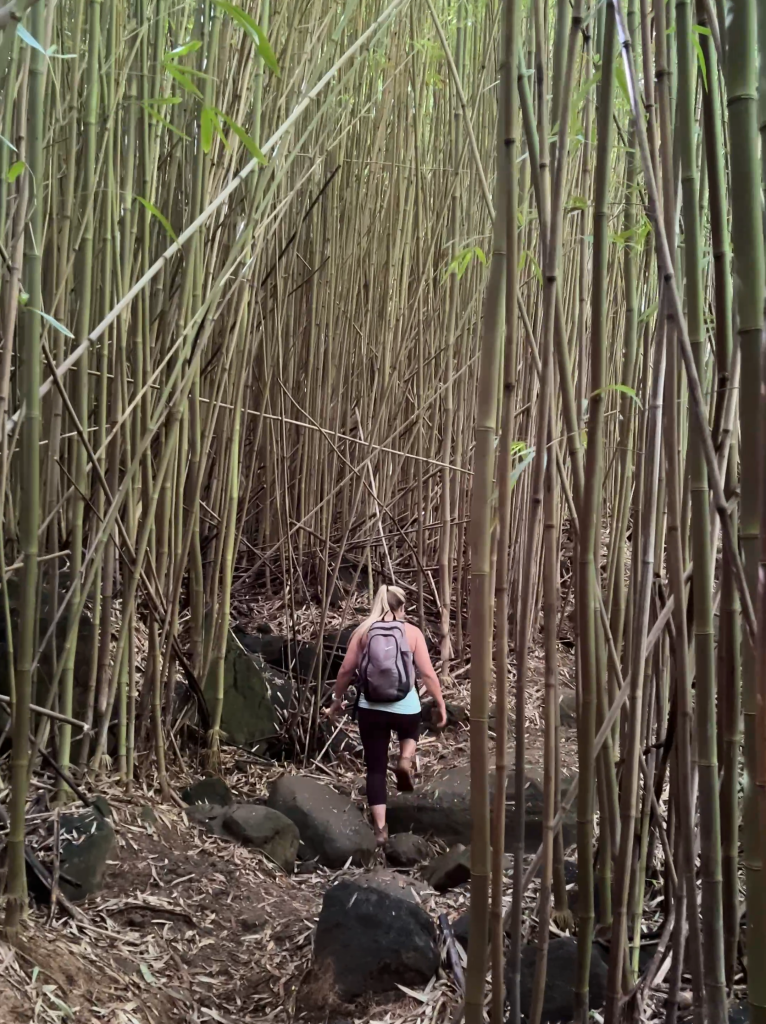 Best Things to Do Kaua'i | Bucketlist Activities Kaua'i | Must Do Activities Kaua'i | Catherine Chicotka