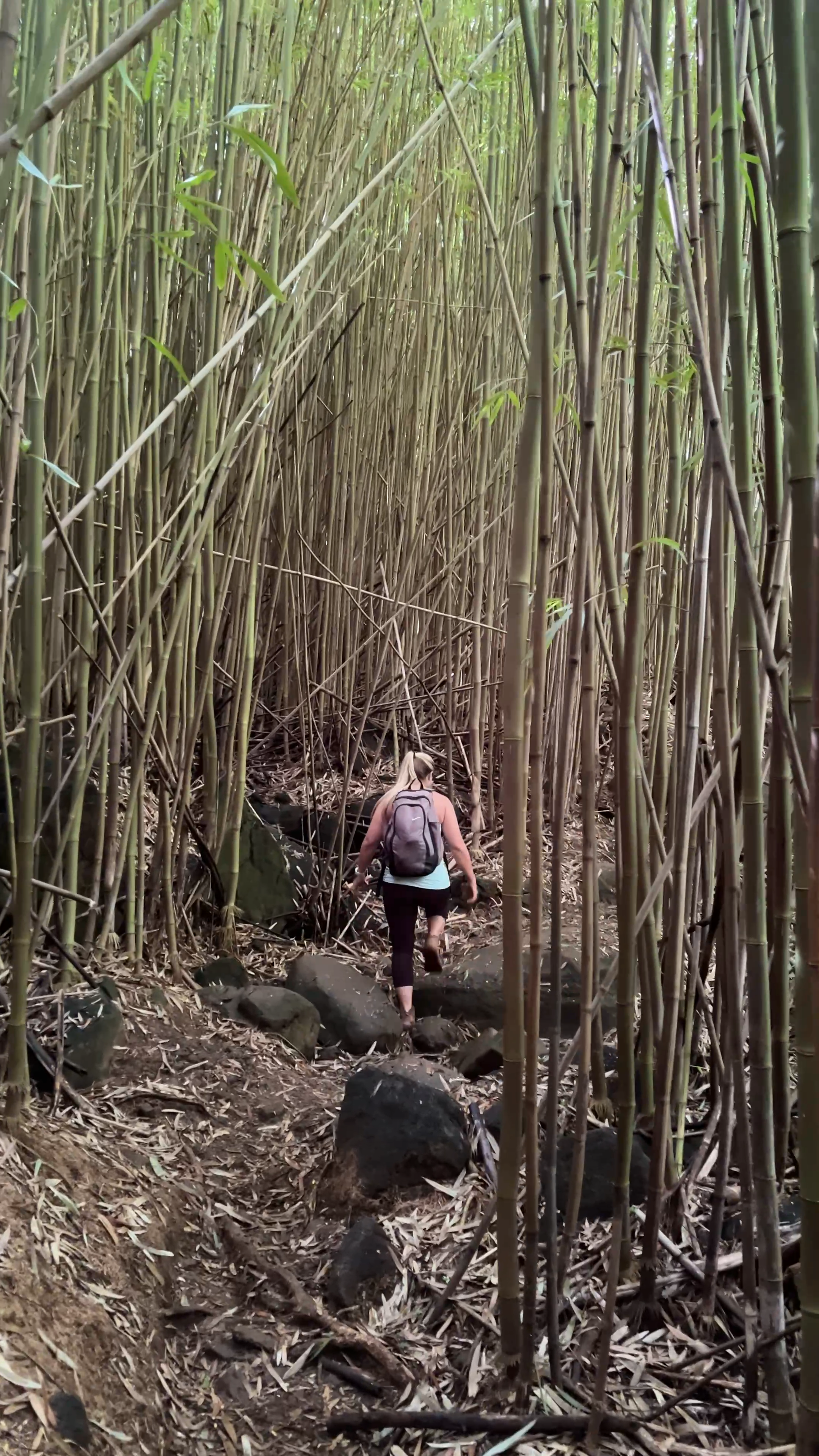 Hiking Makaleha Falls: A Hidden Gem Jungle Adventure | Makaleha Falls | Secret Hikes Kauai | Hiking Kauai | Best Hikes Kauai | Catherine Chicotka