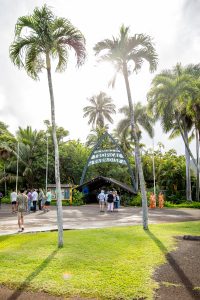 Smith's Family Luau | Catherine Chicotka