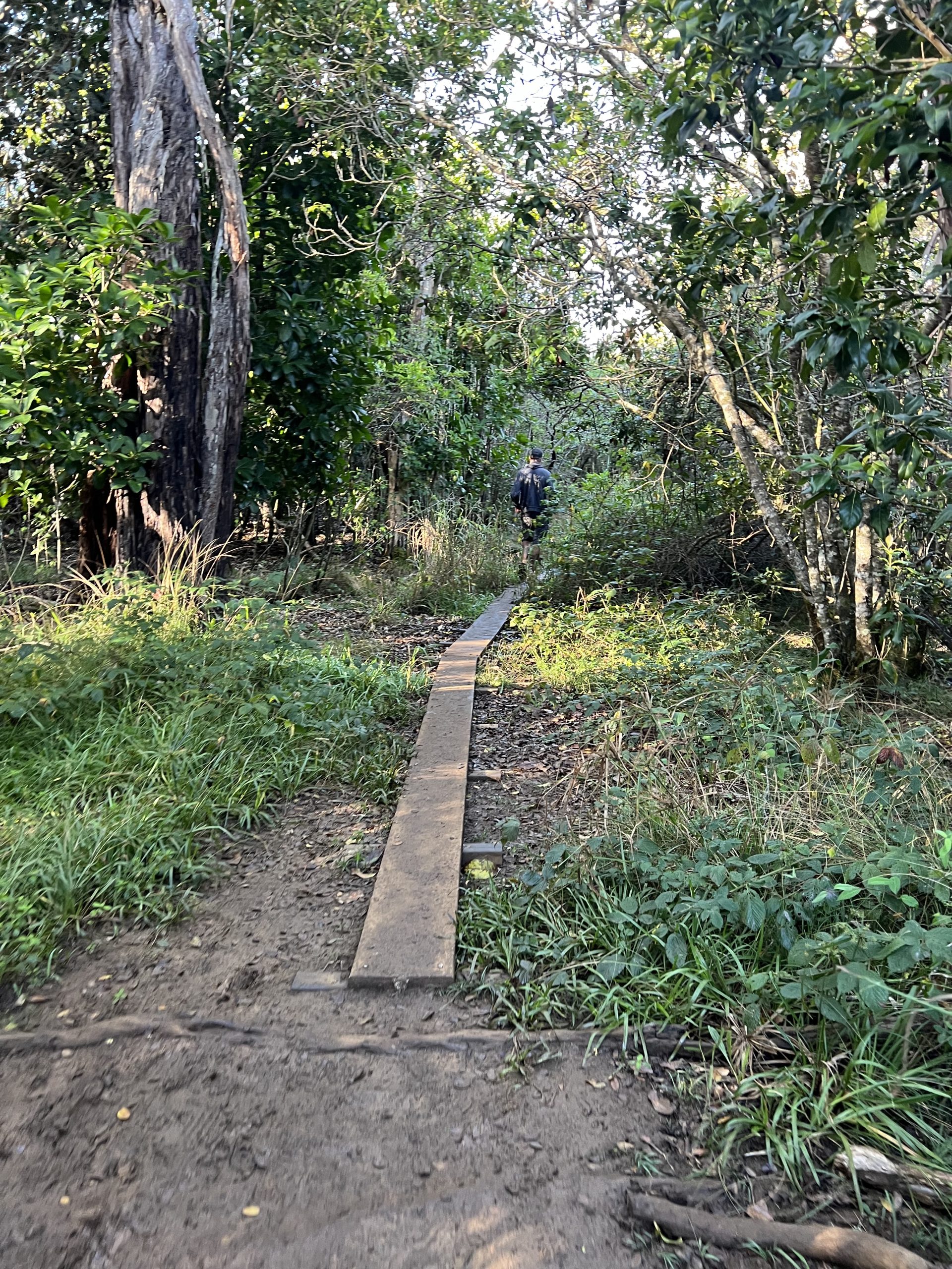 Awa'awapuhi Trail | Awaawapuhi Trail | Best Hikes Kauai | Waimea Canyon | Catherine Chicotka