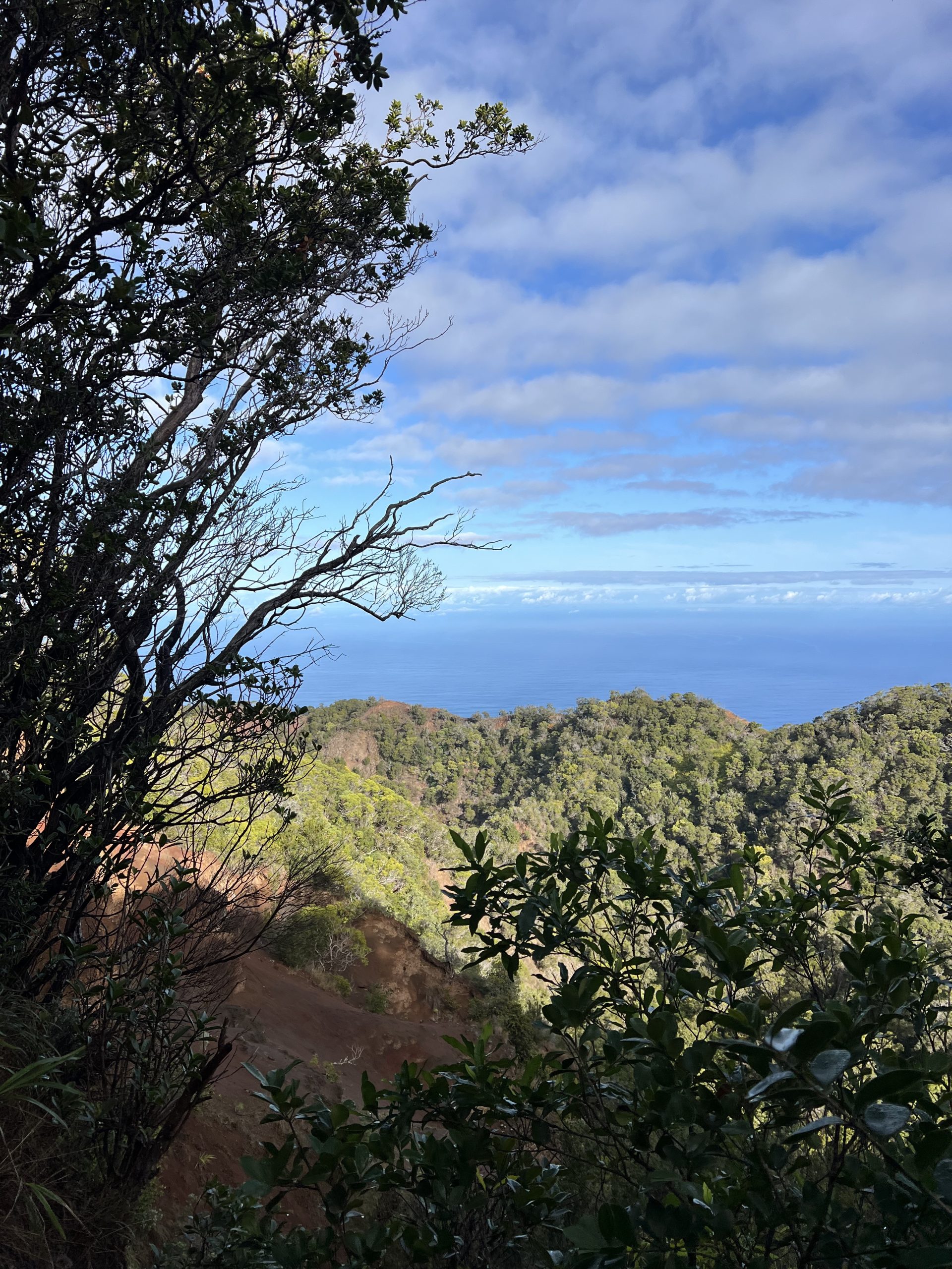 Awa'awapuhi Trail | Awaawapuhi Trail | Best Hikes Kauai | Waimea Canyon | Catherine Chicotka