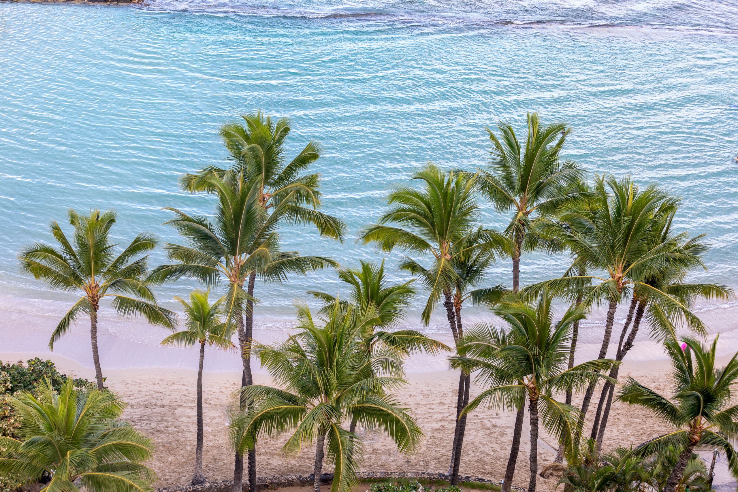 Alohilani Resort | Best Hotels Waikiki | Catherine Chicotka