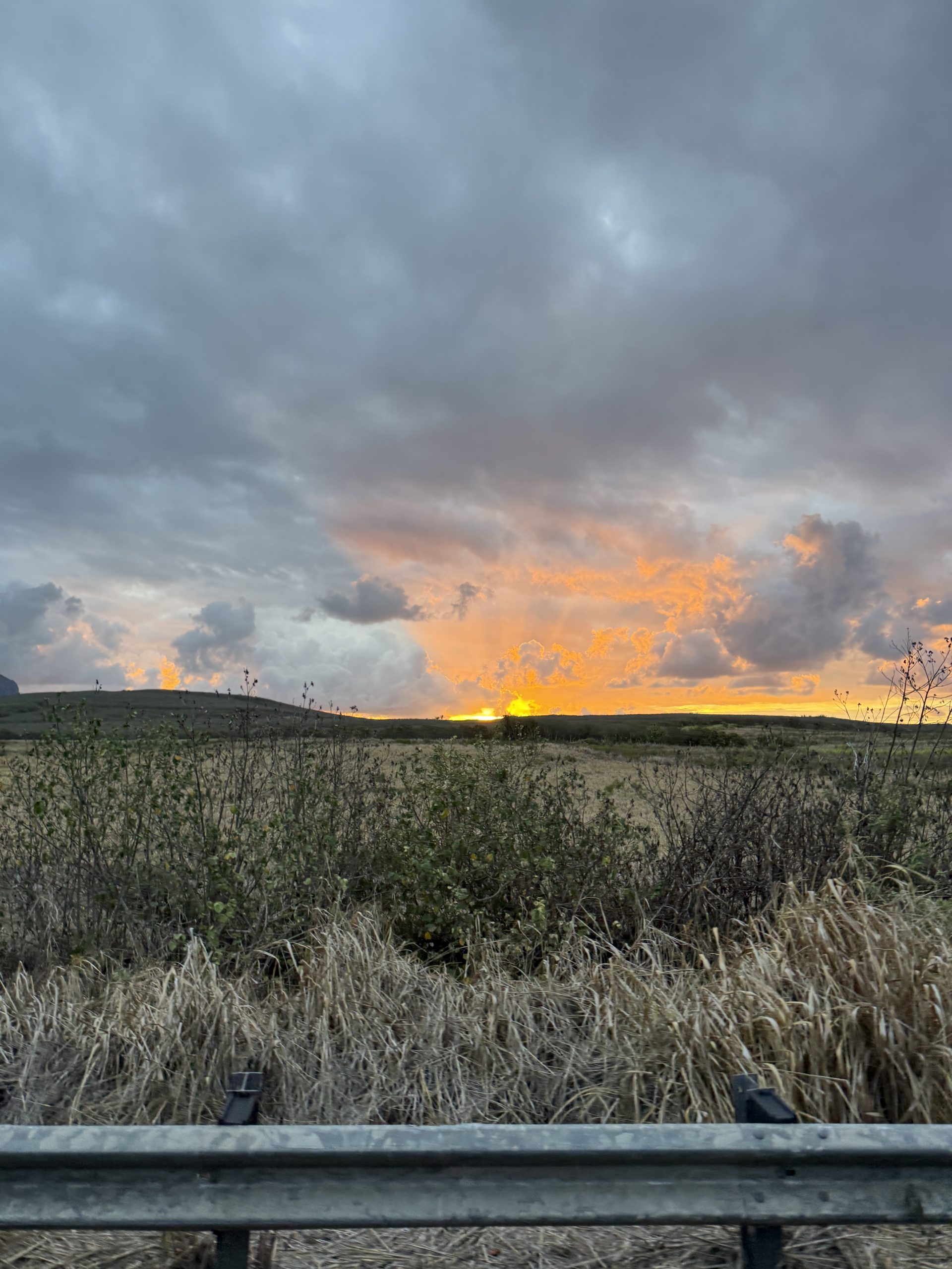 Kaua'i Marathon & Half: Half Marathon Review | Catherine Chicotka