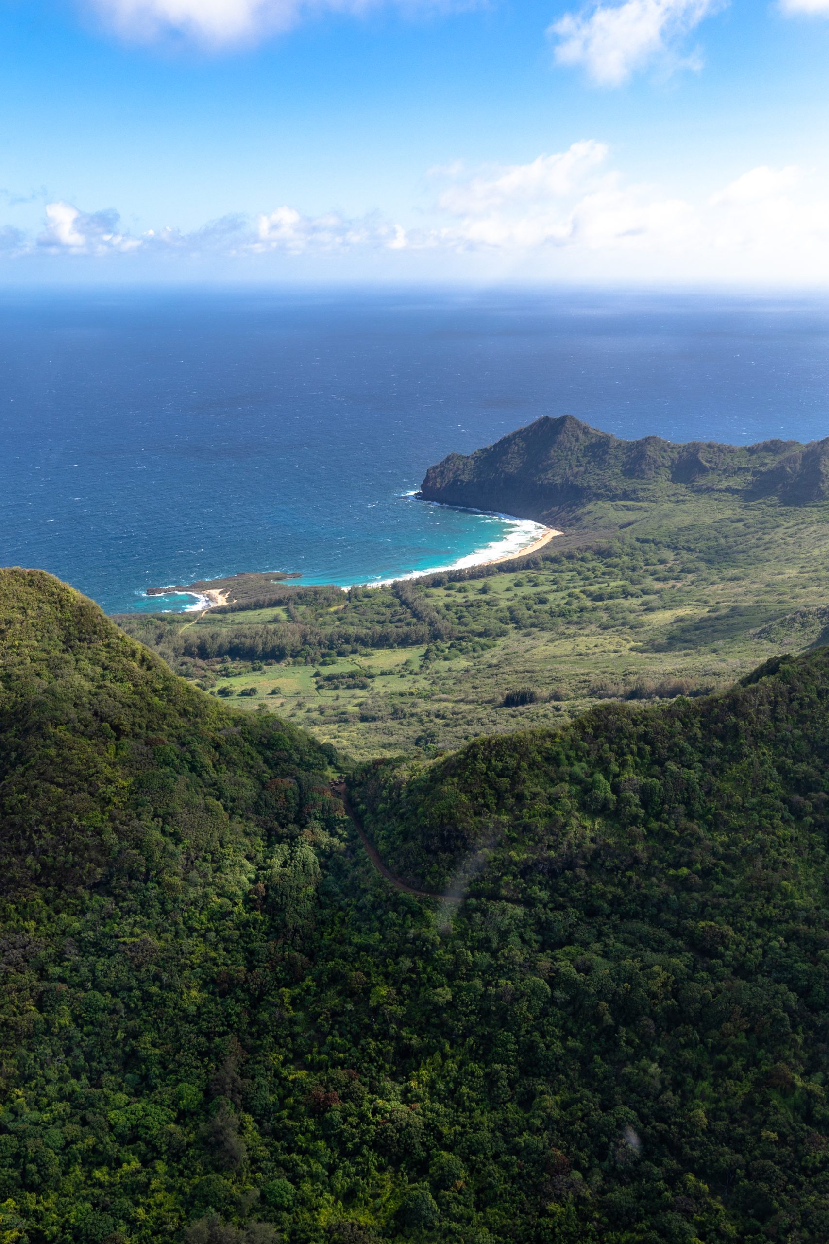 Kauai Helicopter Tour: Jurassic Falls with Island Helicopters | Best Kauai Helicopter Tour | Island Helicopters | Napali Coast | Waimea Canyon | Jurassic Falls | Manawaiopuna Falls | Catherine Chicotka