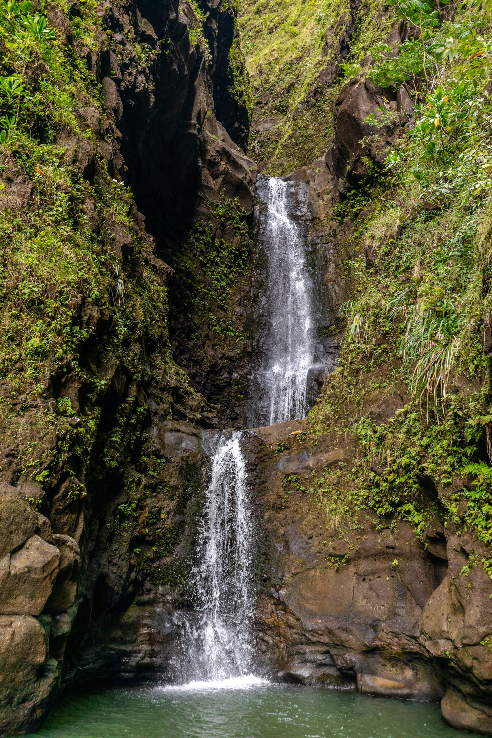 Hiking Makaleha Falls: A Hidden Gem Jungle Adventure | Makaleha Falls | Secret Hikes Kauai | Hiking Kauai | Best Hikes Kauai | Catherine Chicotka