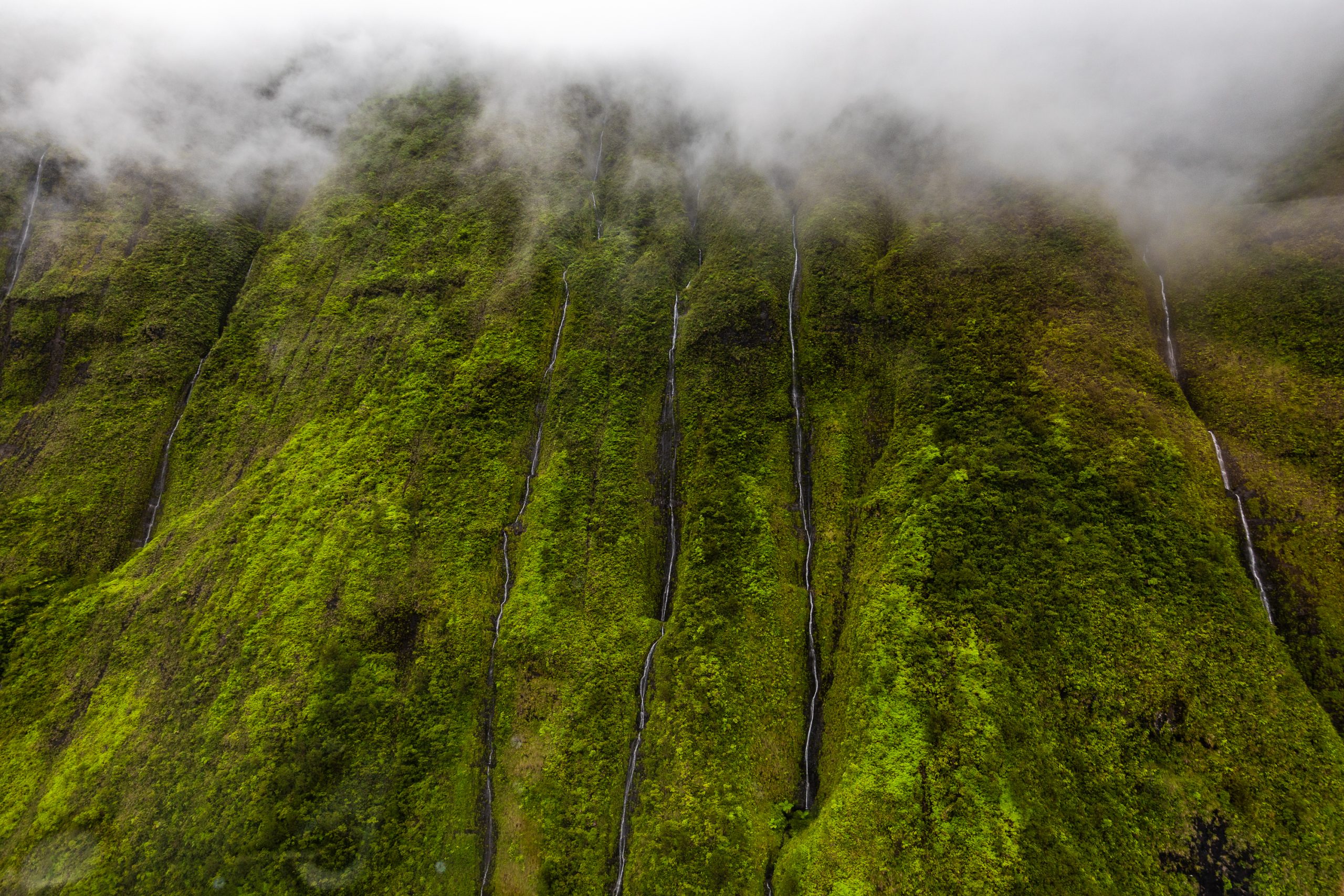 Best Kauai Helicopter Tour: Jurassic Falls with Island Helicopters | Best Kauai Helicopter Tour | Island Helicopters | Napali Coast | Waimea Canyon | Jurassic Falls | Manawaiopuna Falls | Catherine Chicotka