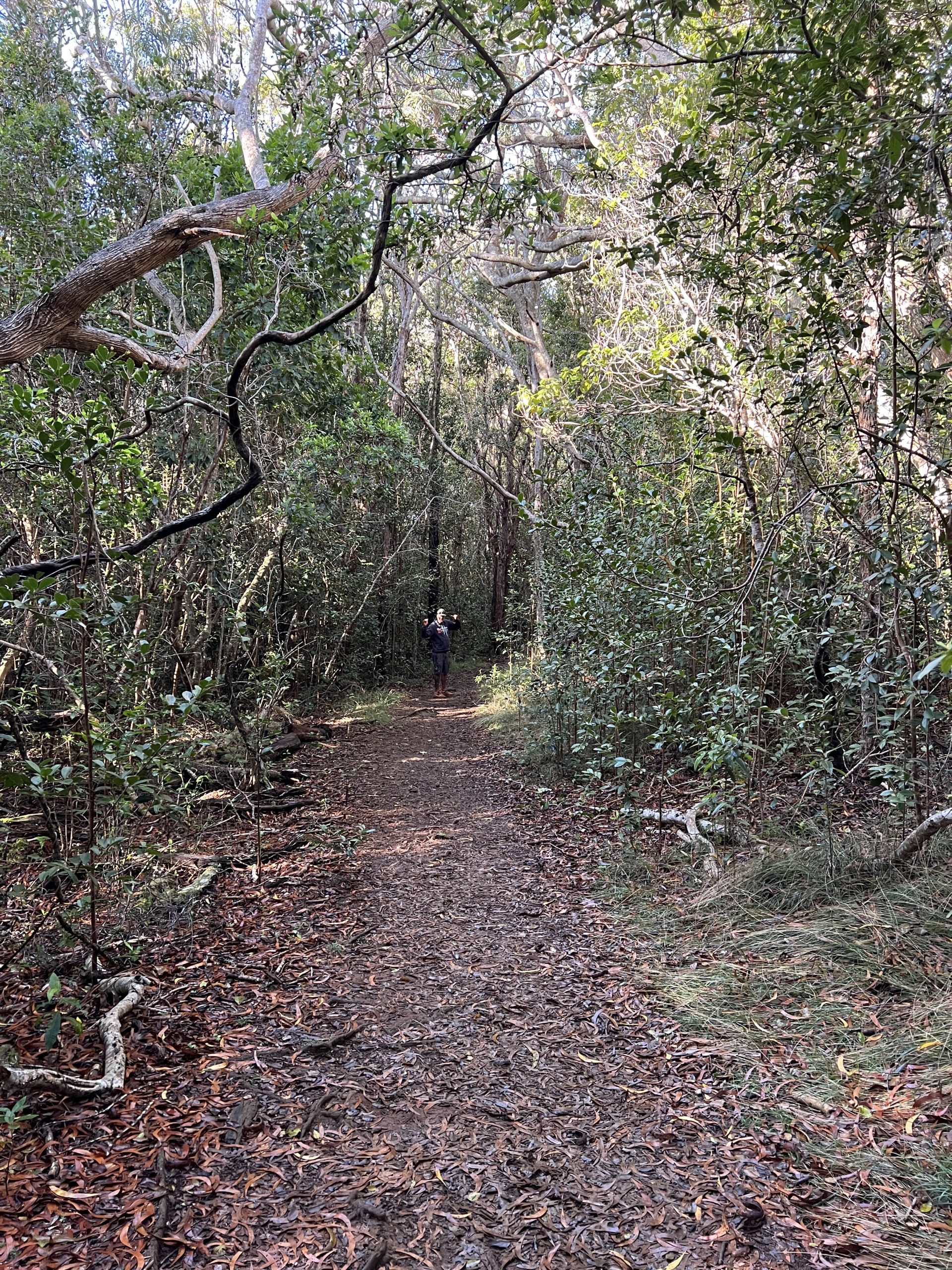Conquering the Awa‘awapuhi Trail: A Breathtaking Kaua‘i Adventure | Waimea Canyon Hikes | Awa'awapuhi Trail | Awaawapuhi Trail | Best Hikes Kauai | Waimea Canyon | Catherine Chicotka