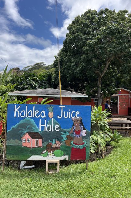 Best Acai Bowls Kaua'i | Best Acai Bowls Kauai | Kalalea Juice Hale | Catherine Chicotka