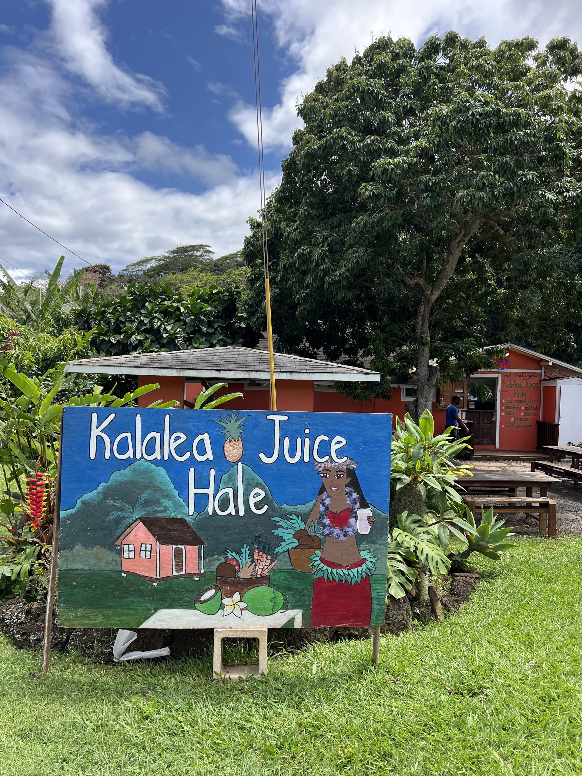 Best Acai Bowls Kaua'i | Best Acai Bowls Kauai | Kalalea Juice Hale | Catherine Chicotka