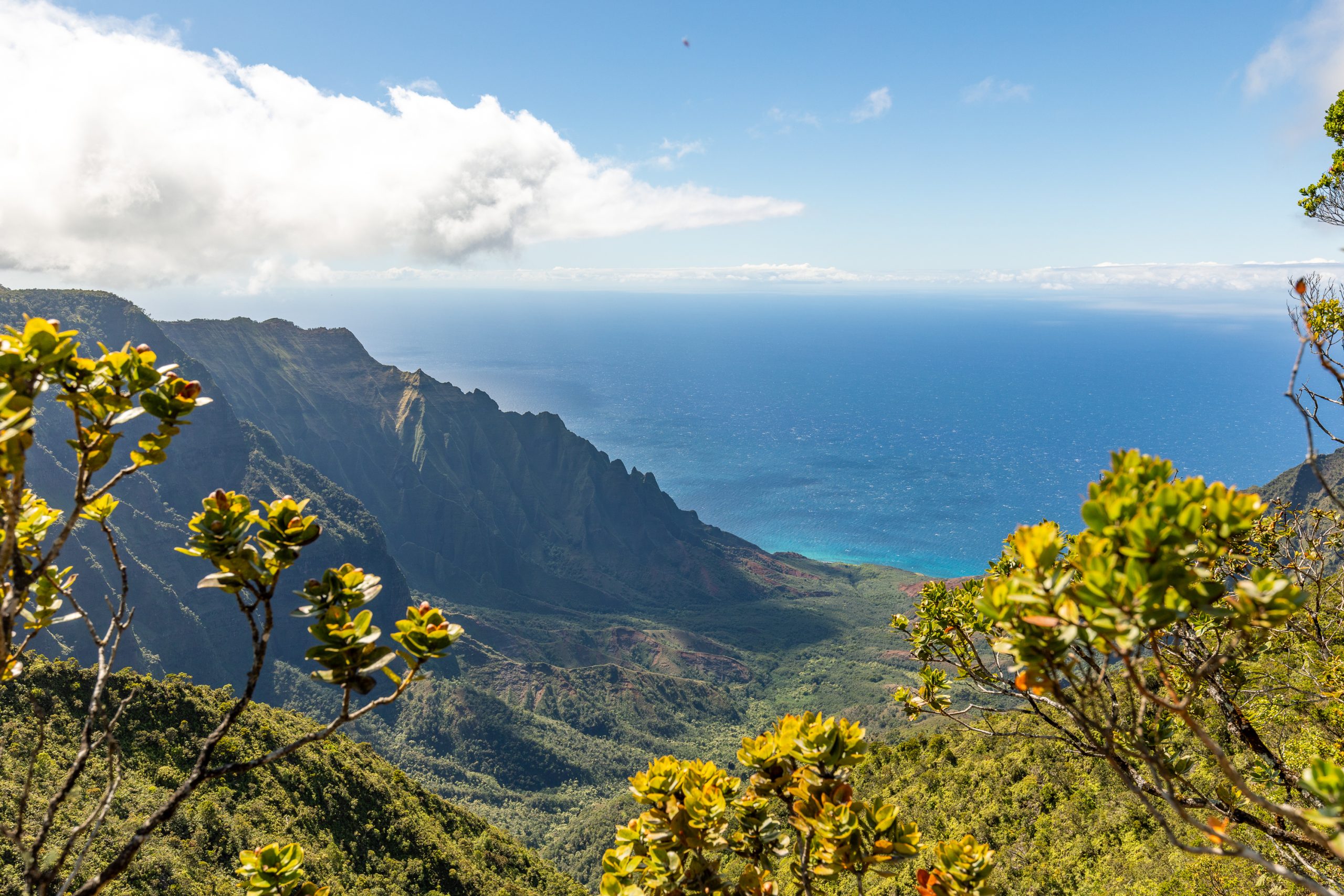 Best Hikes on Kaua'i: The Ultimate Kaua'i Hiking Guide | Pihea Vista Trail | Waimea Canyon Hikes | Catherine Chicotka