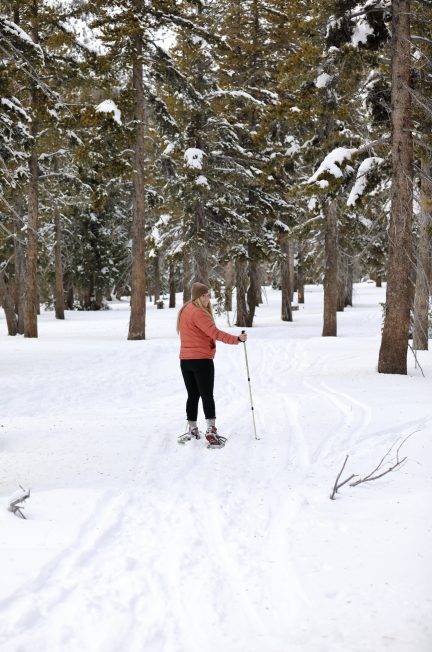 Best Things to Do in Lake Tahoe | The Ultimate Guide for things to do in Lake Tahoe from a local | Catherine Chicotka