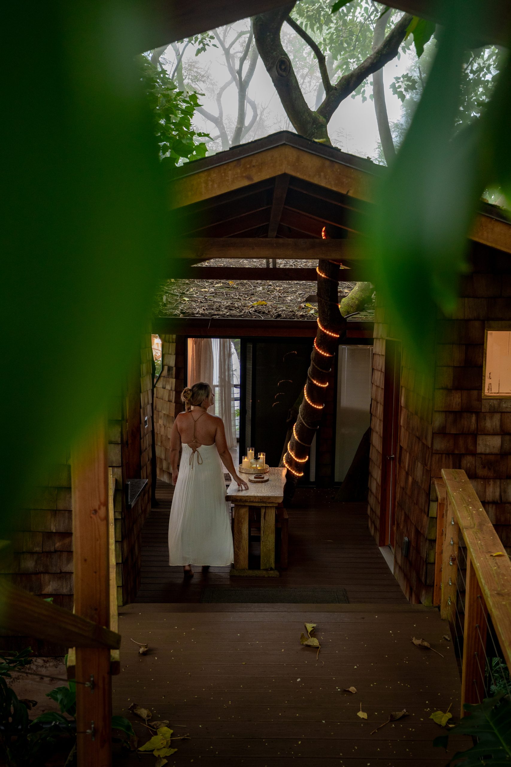 Kona Luxury Treehouse Review: One of Big Island's Most Unique Stays | Where to Stay on Big Island | Unique Stays in Hawai'i | Unique Stays Big Island | Kona Luxury Treehouse | Catherine Chicotka