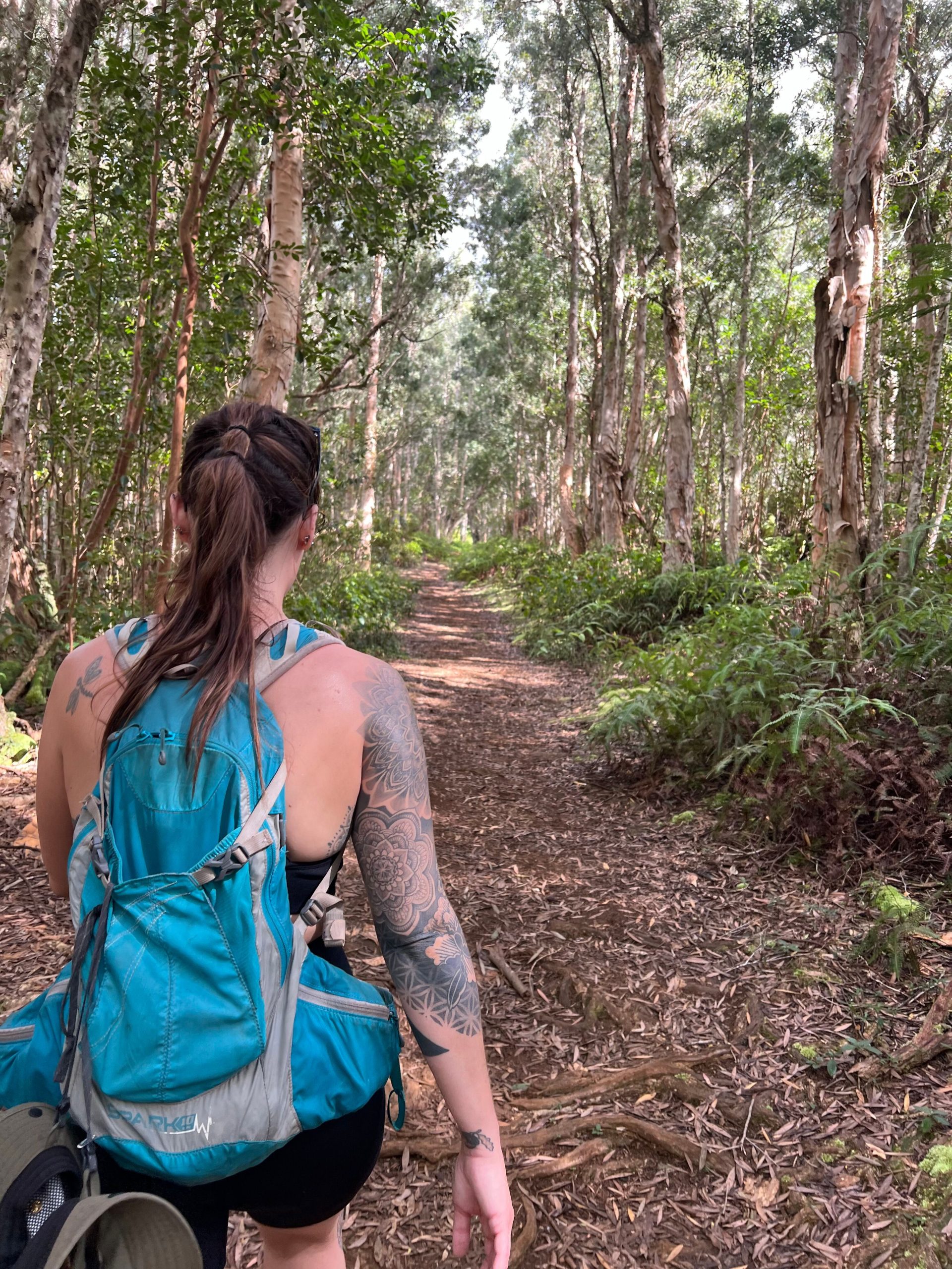 Kaua'i Hiking Guide | Best Hikes on Kauai | Hiking Trails in Kauai | Catherine Chicotka