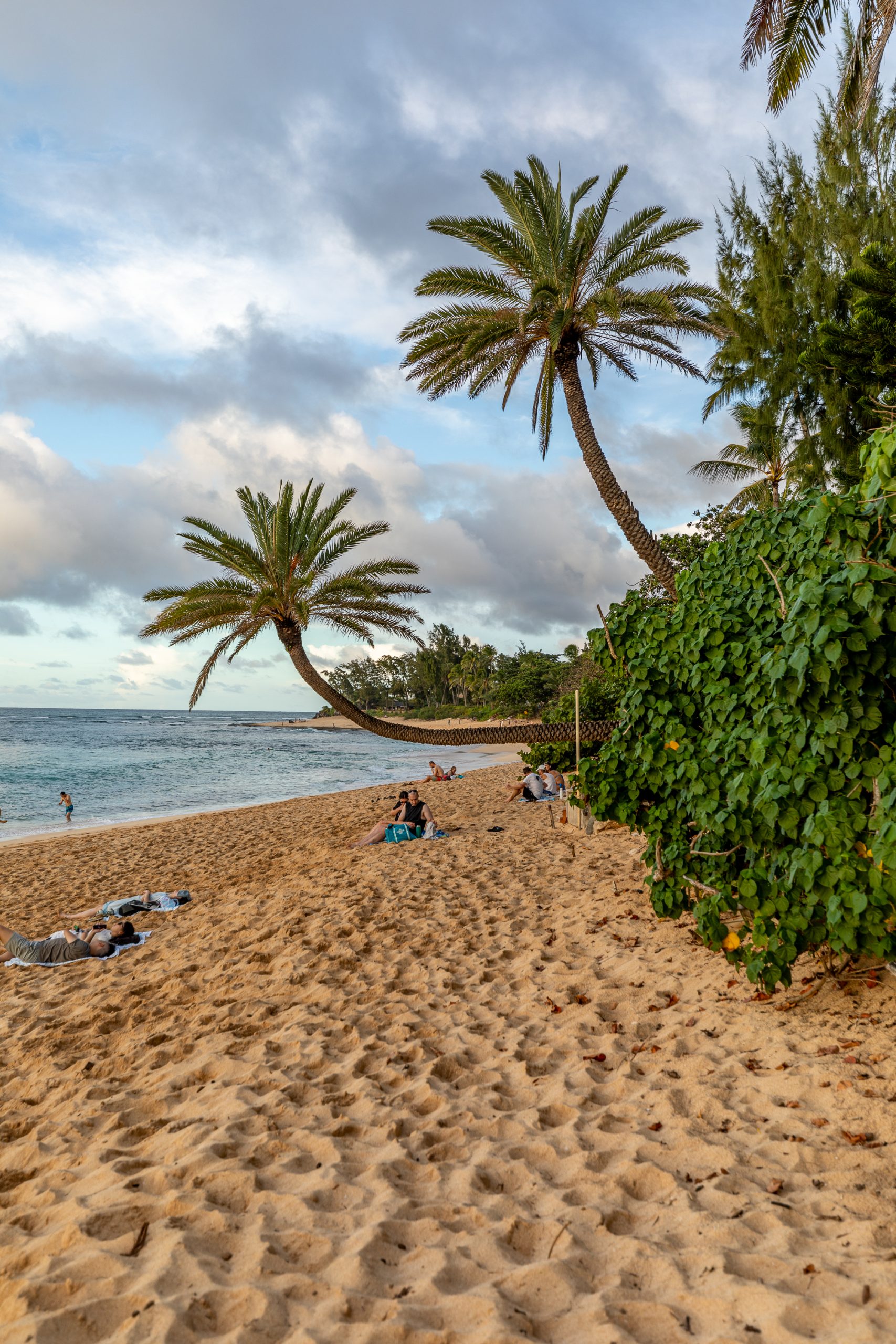 Best Oceanfront Hotels in Oahu | This guide covers every major oceanfront hotel to help you plan the ultimate vacation to Oahu | Catherine Chicotka