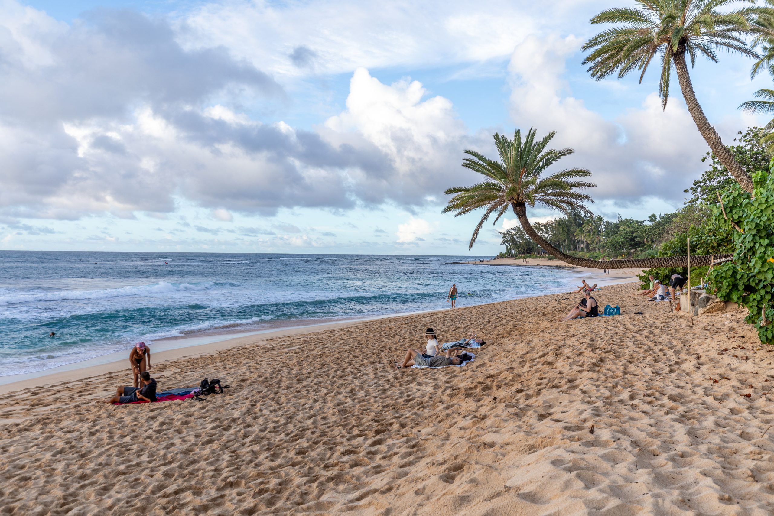 Best Oceanfront Hotels in Oahu | This guide covers every major oceanfront hotel to help you plan the ultimate vacation to Oahu | Catherine Chicotka